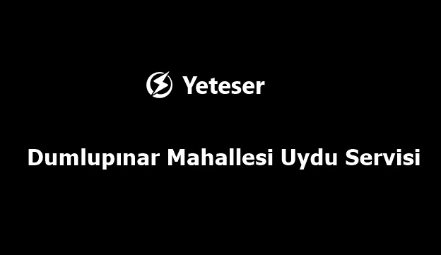 Dumlupınar Mahallesi Uydu Servisi